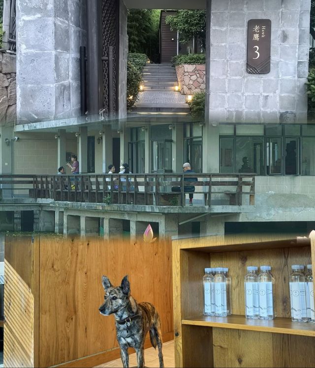 逃離都市｜蘇州太湖私藏度假村打卡實錄