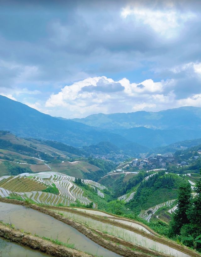 龍脊梯田，進入最佳觀賞季