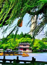 寧波月湖公園｜免費遊千年城市園林，慢品老城煙火