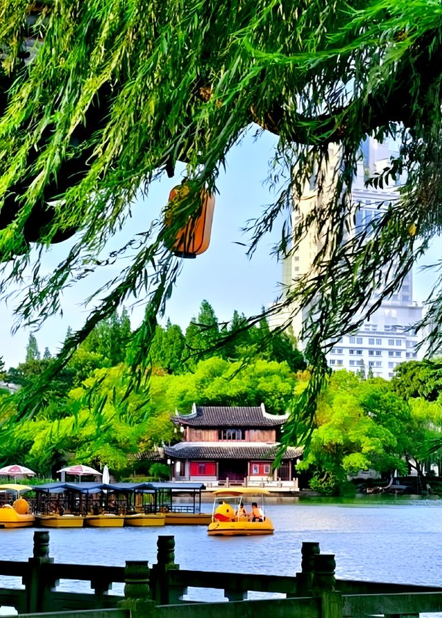 寧波月湖公園｜免費遊千年城市園林，慢品老城煙火