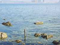 四月，我與養馬島果凍海嘅約會……
