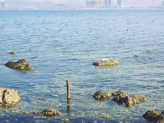 四月，我與養馬島果凍海嘅約會……