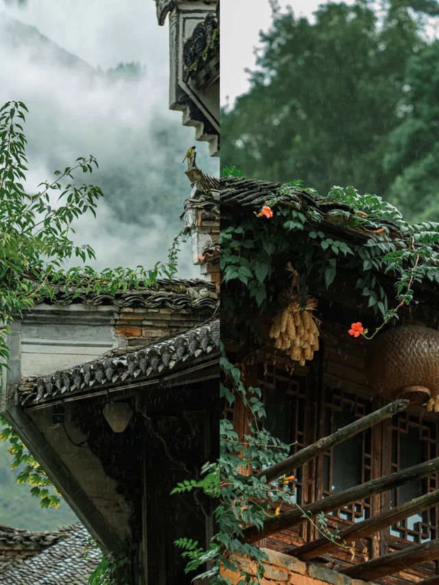 一場夏雨，看六月篁嶺美成水墨徽州