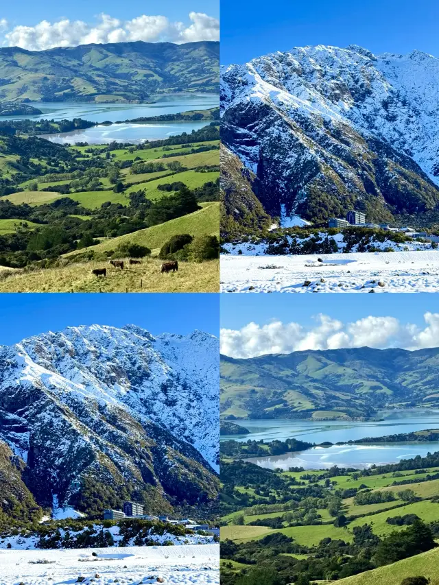 Master New Zealand without pitfalls! 20 insider experiences from seasoned travelers