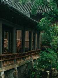 可惜你不來江南，不知道江南煙雨有多浪漫