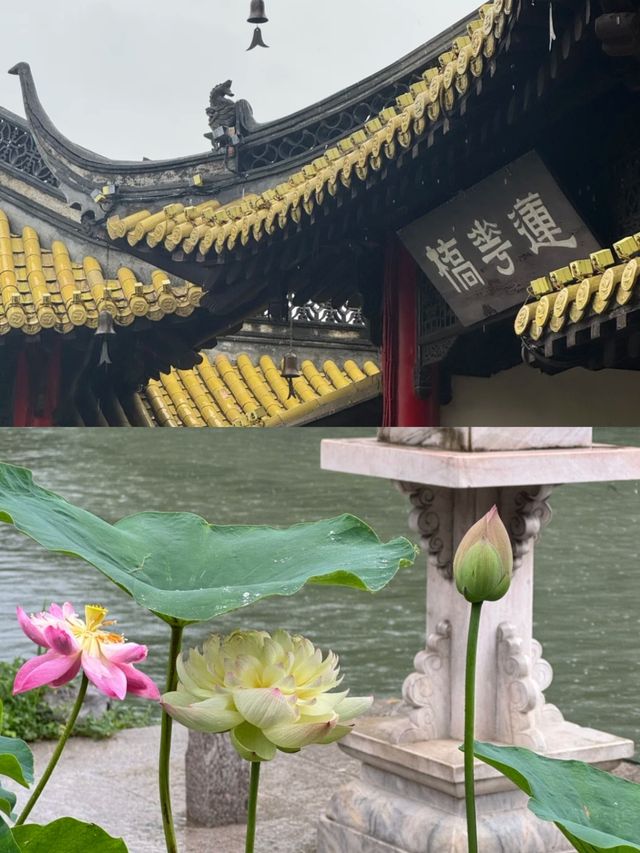 銀髮族必睇！揚州悠閒三日攻略