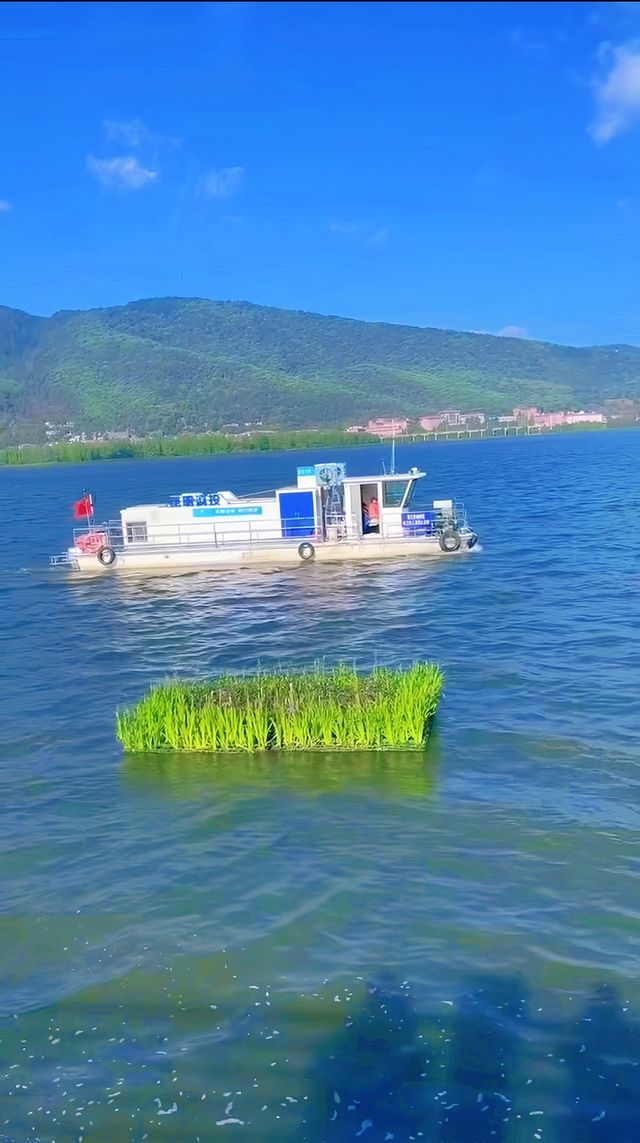 各位寶貝們好呀，今日為大家帶來一份滇池嘅旅遊攻略，等大家可以少走冤枉路~   滇池最佳遊玩時間   11月-3