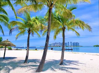 The coastal park on Ocean Flower Island, with its long coconut tree-lined promenade, offers stunning photo opportunities at every turn.