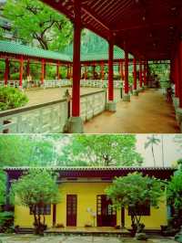 여름날의 낭만, 마카오 노렴약공원(盧廉若公園)에서 즐기는 힐링 타임​