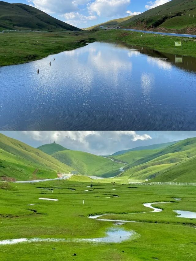 曲靖會澤大海草山｜闖入「東方新西蘭」的雲端牧場