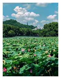 杭州旅遊攻略