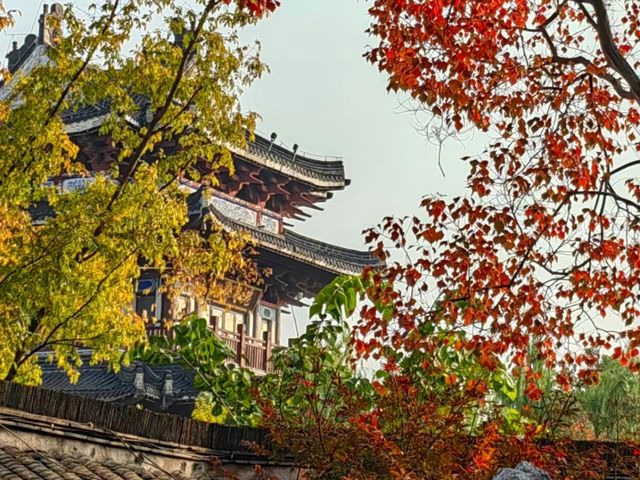 去咗4次沈坤狀元府，終於玩到明晒！