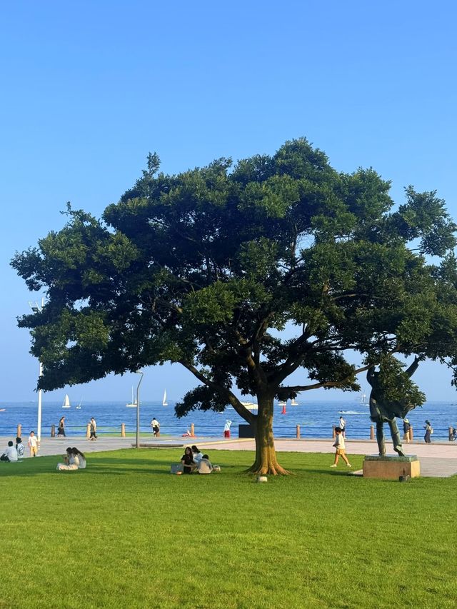 青島嘅夏天