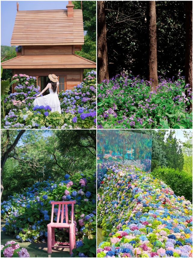 太靚啦！現實版莫奈花園～