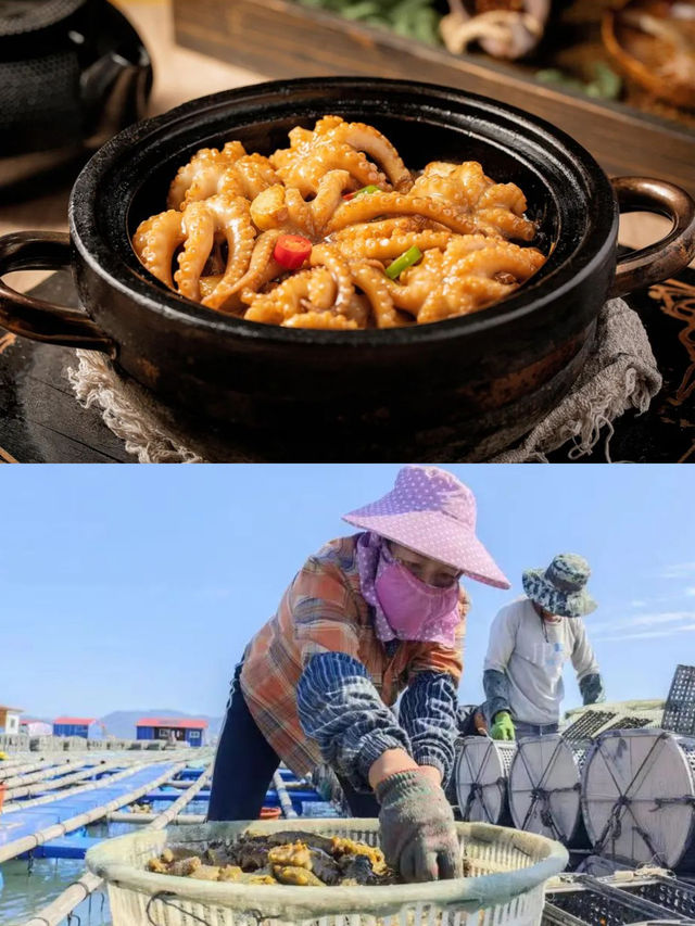 收藏！跟住中國氣象局暢遊福建山海！
