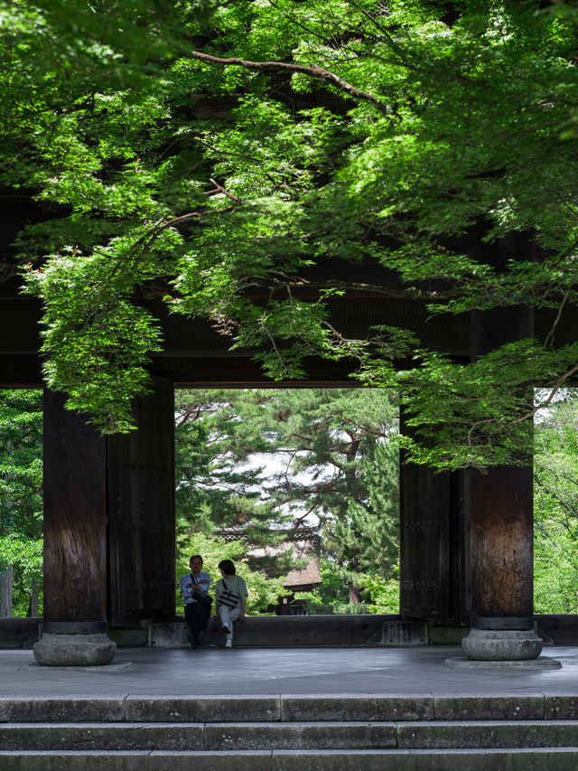 京都 | 有一種綠叫做「京都綠」