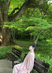 兄弟西湖只為搭訕靚女，呢個諗法真係絕！