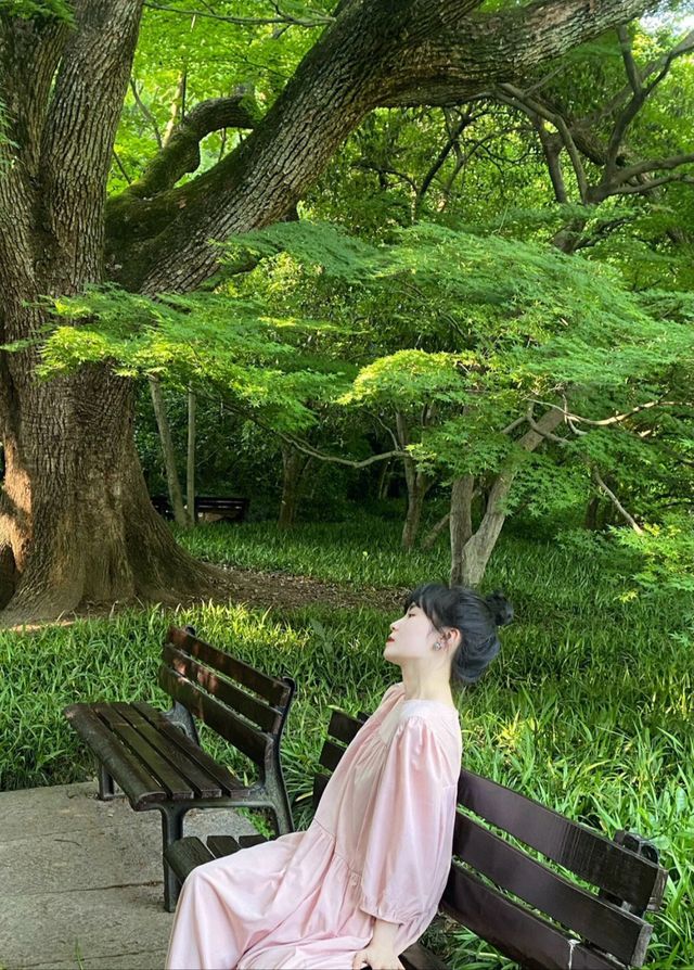 兄弟西湖只為搭訕靚女，呢個諗法真係絕！