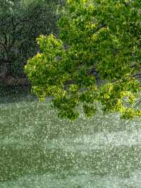 喺紹興東湖我影到太陽雨下嘅江南水鄉！