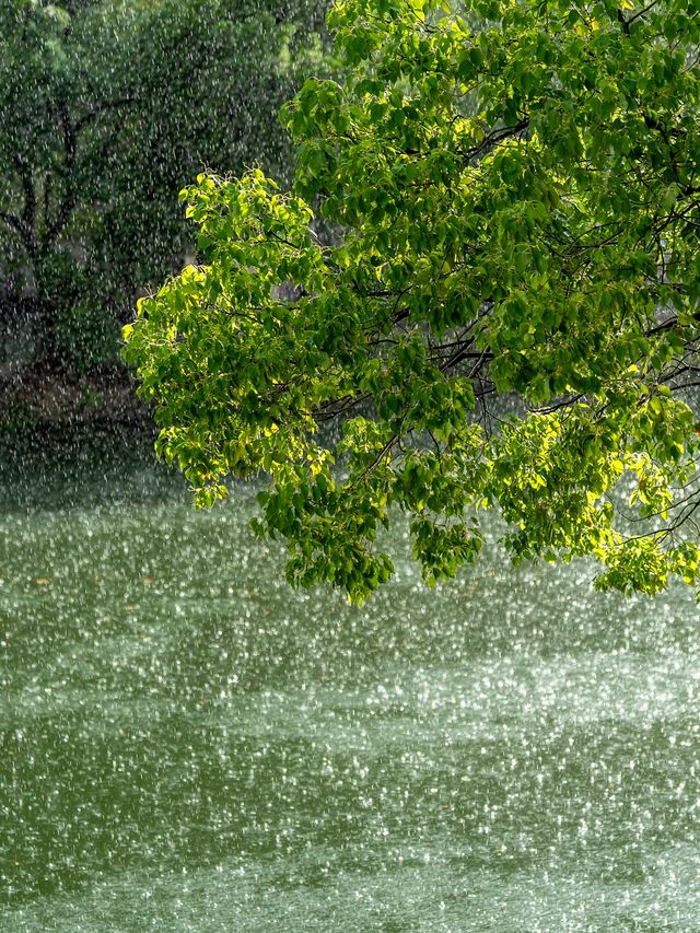 喺紹興東湖我影到太陽雨下嘅江南水鄉！