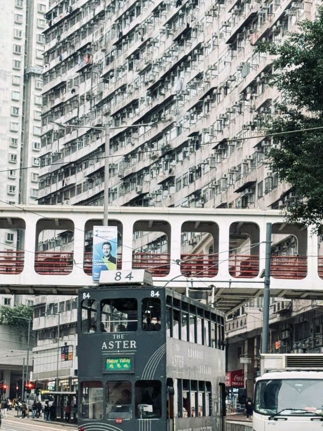 Hong Kong🇭🇰 Monster Building is Stunning🌹