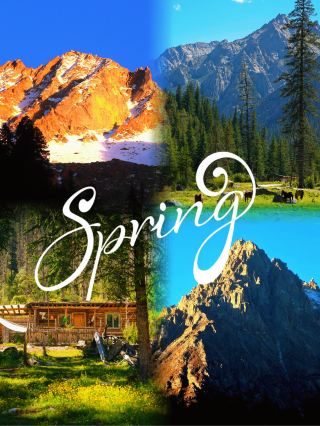 덕게 전나무 숲 탐험