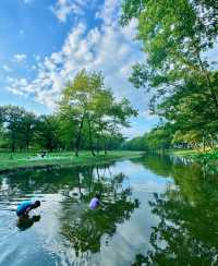 武漢2小時直達！湖北「小伊犁」玩水全攻略野餐溯溪yyds！