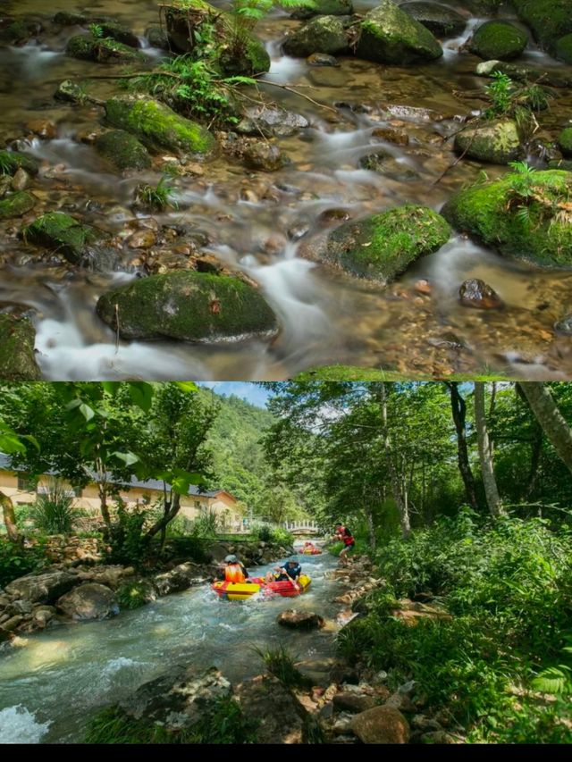 湖南！郴州桂東雲霧山小木屋森林