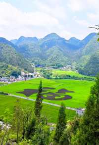 盛夏爆款解鎖萬峰林！住進稻田星空房，拍綠野仙蹤電影感