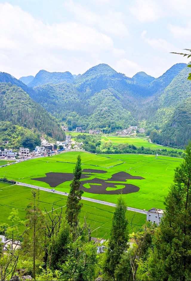 盛夏爆款解鎖萬峰林！住進稻田星空房，拍綠野仙蹤電影感