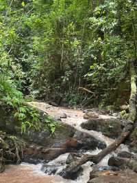 基諾山雨林遠足｜當快樂馬騮嘅24小時爆笑實錄酸螞