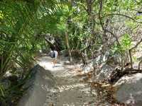 A Must-Visit Beach on La Digue Island