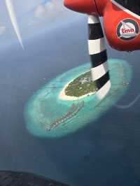 Family Fun and Firsts at the Island Resort