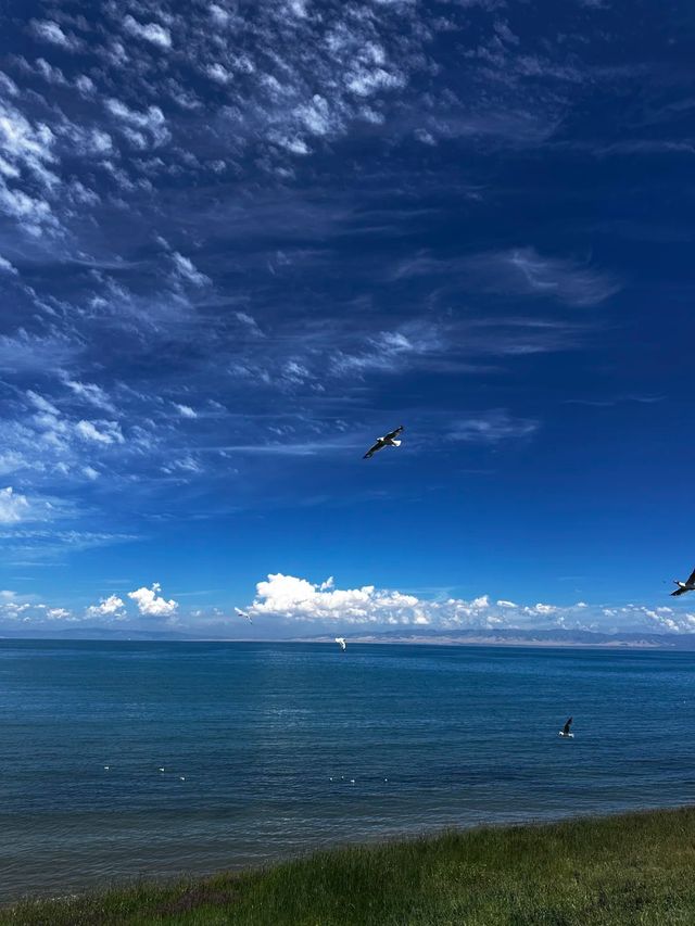 青海湖遊玩全攻略