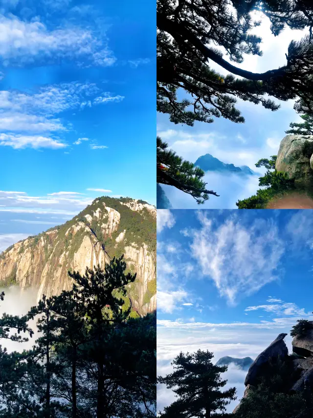 เส้นทางทะเลหมอกสุดอลังการของเขาหัวซาน