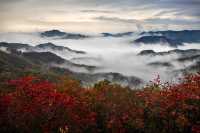 青龍峽紅葉視覺盛宴開啟