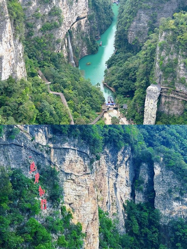藏在深山裡的藍眼淚