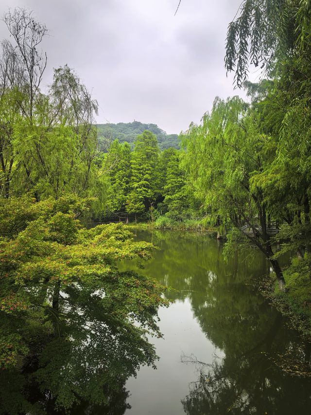 張家港 | 香山景區絕美景觀·明香湖