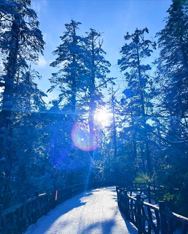瓦屋山嗎，那確實不錯