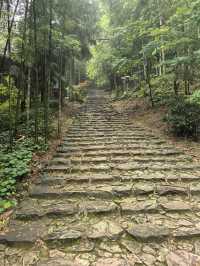 衢州仙霞關|青石古道印滄桑 蒼松迎客越千年