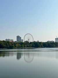 南寧南湖公園漫遊指南｜i人親測：20分鐘治癒所有疲憊～