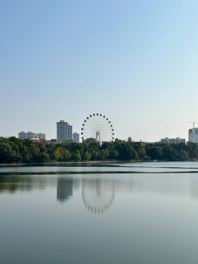 南寧南湖公園漫遊指南｜i人親測：20分鐘治癒所有疲憊～