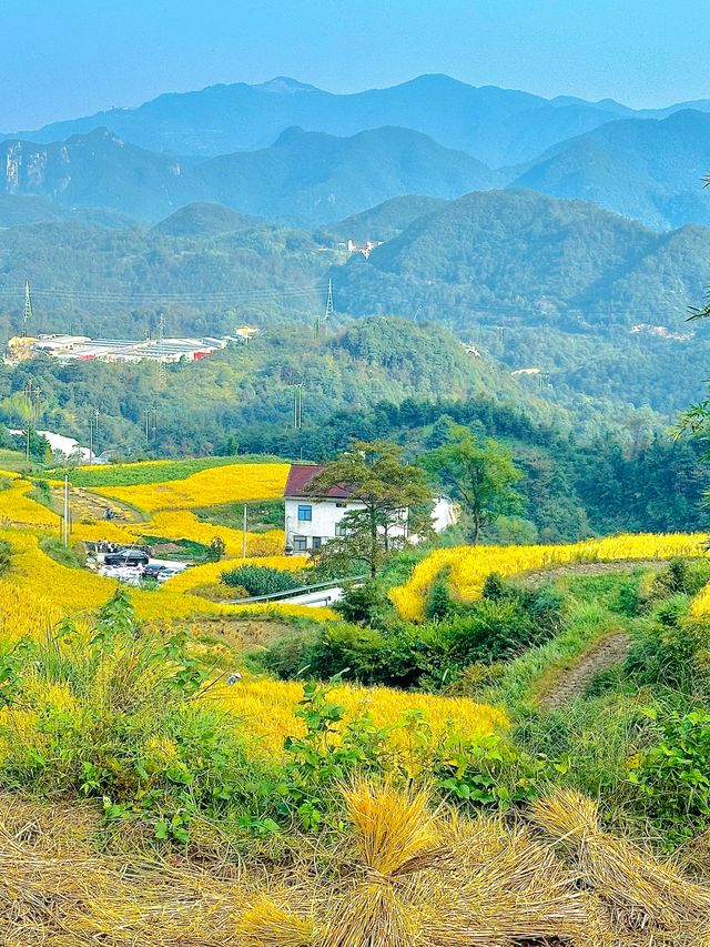 天台山秋色鎏金秘境