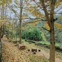 紅峽谷秋日野趣攻略