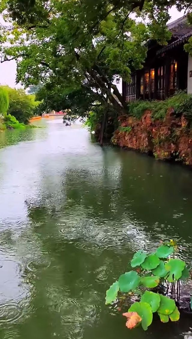 蘇州滄浪亭：藏在千年文脈裡的園林秘境