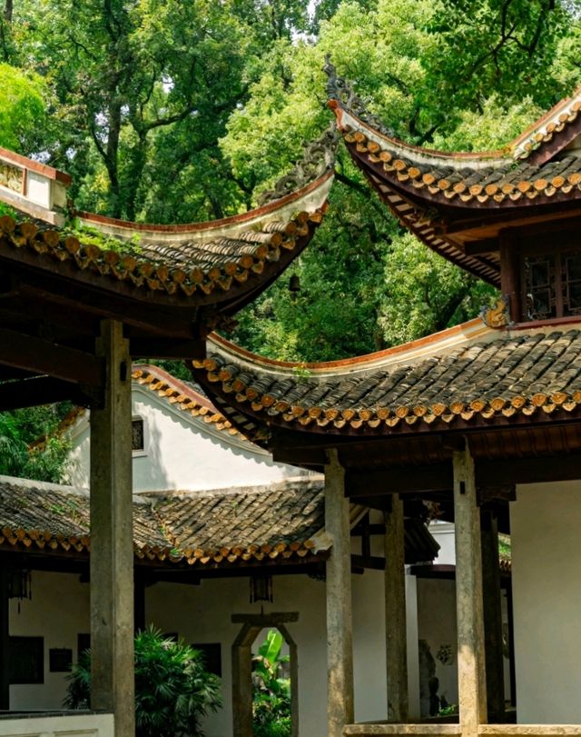 長沙保姆級攻略帶你遊玩絕美景點