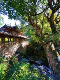 泰順毓文橋在浙南山水間邂逅清代廊橋遺夢
