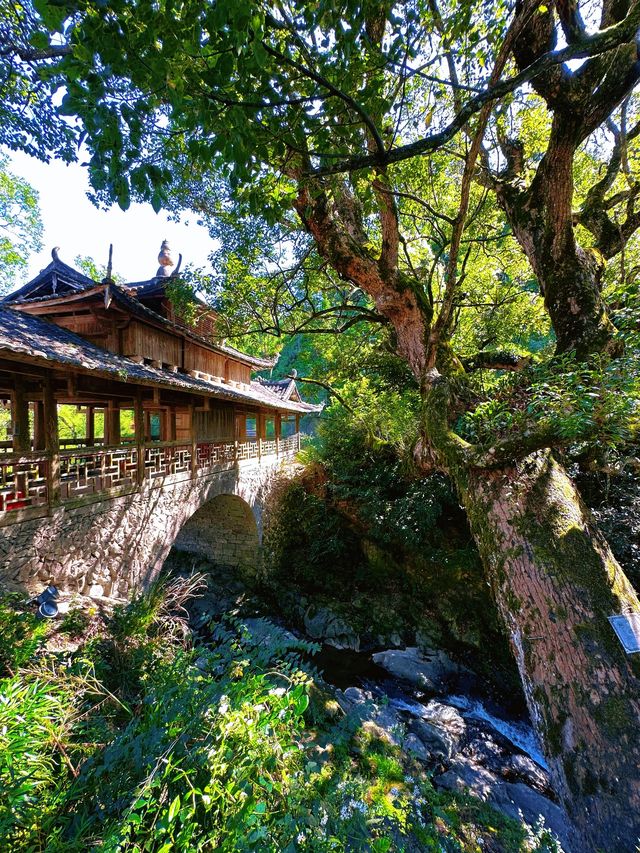 泰順毓文橋在浙南山水間邂逅清代廊橋遺夢 泰順毓文橋在浙南山水間邂逅清代廊橋遺夢