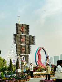 來武漢江灘賞菊吧