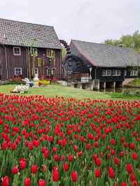 【南京綠博園大揭秘！你不知道的隱藏寶藏，絕對讓你驚喜連連！】 大家好，我是你們的旅遊探秘小達人